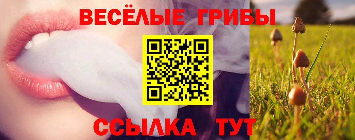 Псилоцибиновые грибы Psilocybe Большой Камень