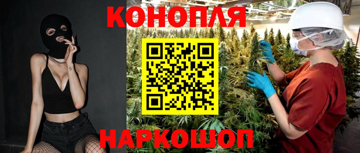Канабис планчик Большой Камень